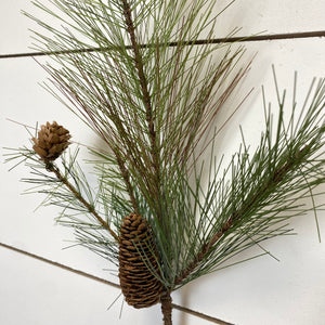 LONG NEEDLE PINE | STEM SM