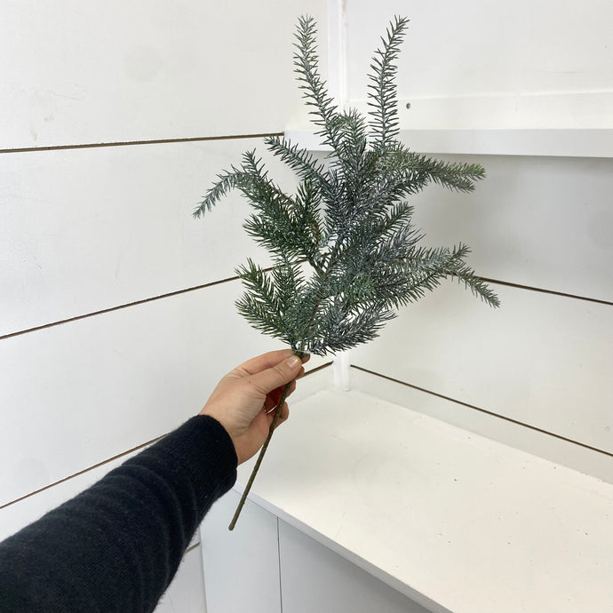 BLUE FINGER PINE | STEM SM