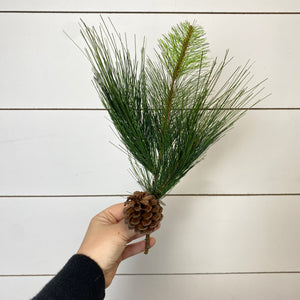 LONG NEEDLE PINE | BUNDLE SM