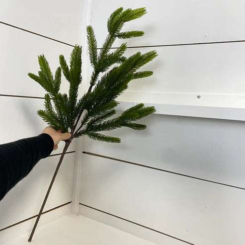 SPRUCE | STEM