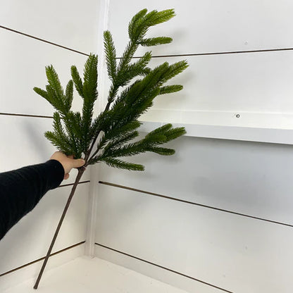 SPRUCE | STEM