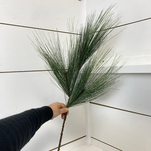 LONG NEEDLE PINE | STEM M