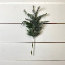 Load image into Gallery viewer, BLUE FINGER PINE | STEM SM
