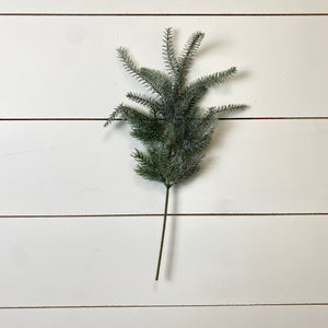 BLUE FINGER PINE | STEM SM