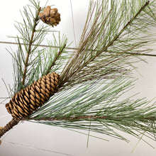 Load image into Gallery viewer, LONG NEEDLE PINE | STEM SM
