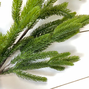 GREEN SPRUCE | STEM L