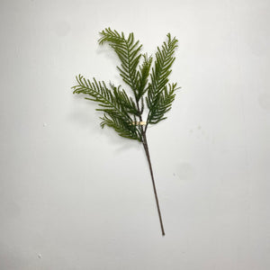 CYPRESS | STEM M