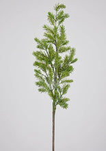 Load image into Gallery viewer, NORWAY SPRUCE BRANCH
