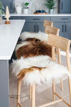 Load image into Gallery viewer, Brown Spotted Icelandic Sheepskin Chair Pad | Random
