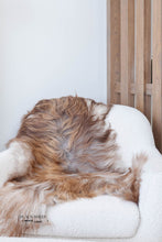 Load image into Gallery viewer, Rare Rusty Grey Icelandic Sheepskin
