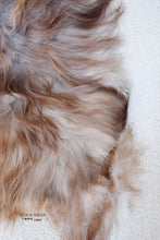 Load image into Gallery viewer, Rare Rusty Grey Icelandic Sheepskin
