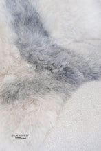 Load image into Gallery viewer, Shorn White Grey Spotted Icelandic Sheepskin | Random

