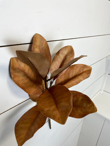 MAGNOLIA | BROWN | STEM