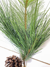 Load image into Gallery viewer, LONG NEEDLE PINE | BUNDLE SM
