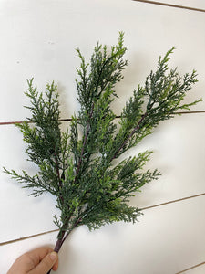 CEDAR | STEM SM