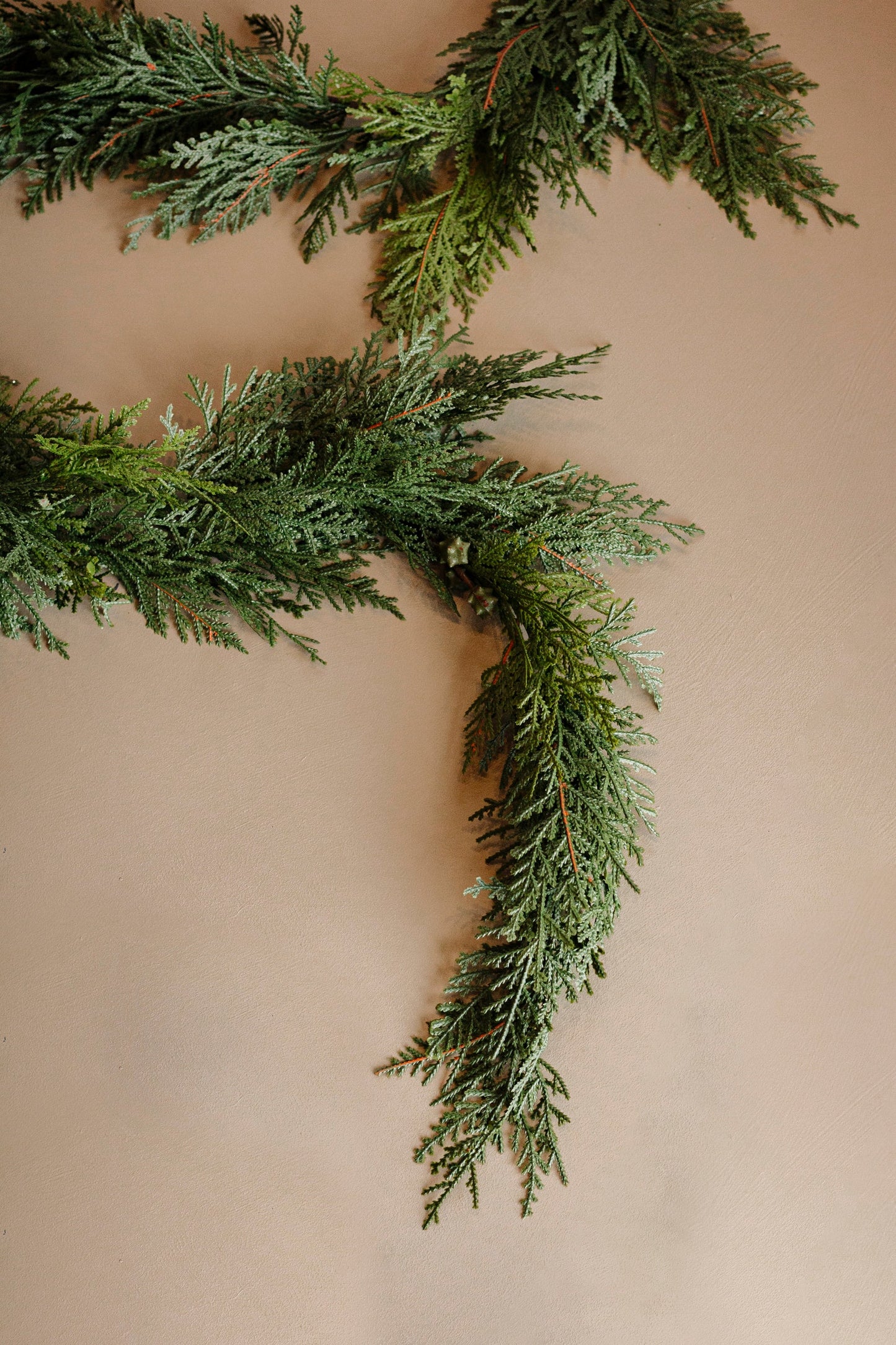 WHITE CEDAR | GARLAND