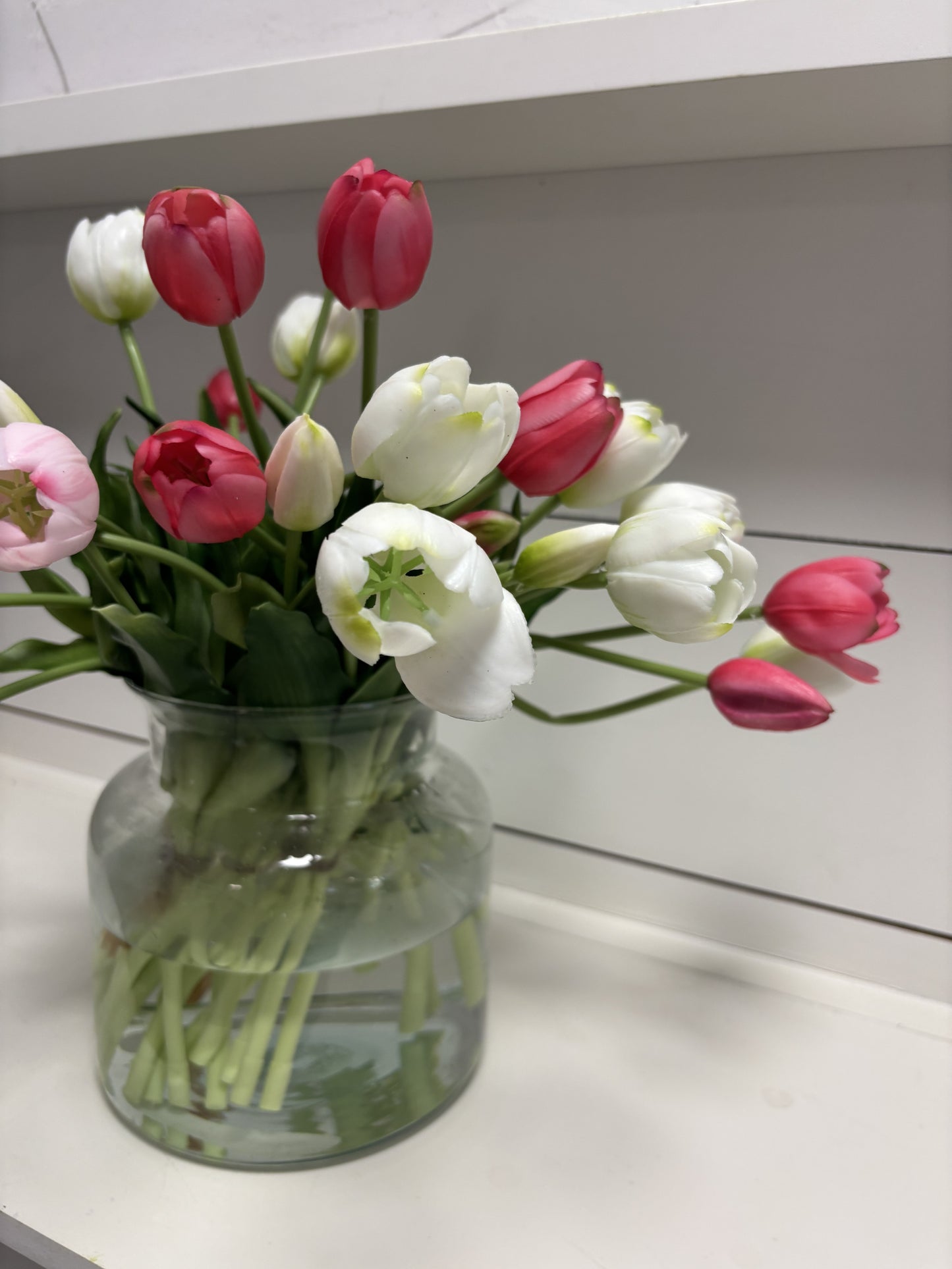 TULIPS | WHITE
