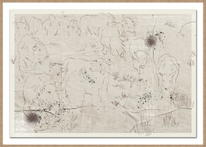 BISON HERD
