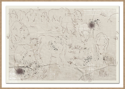 BISON HERD