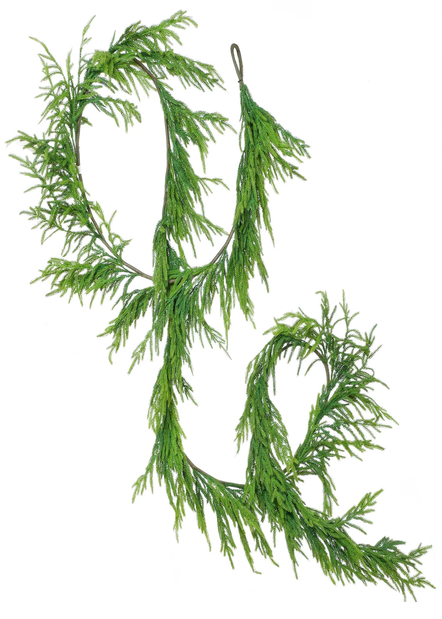 NORFOLK PINE GARLAND