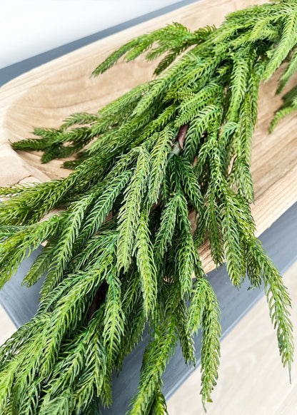 NORFOLK PINE GARLAND