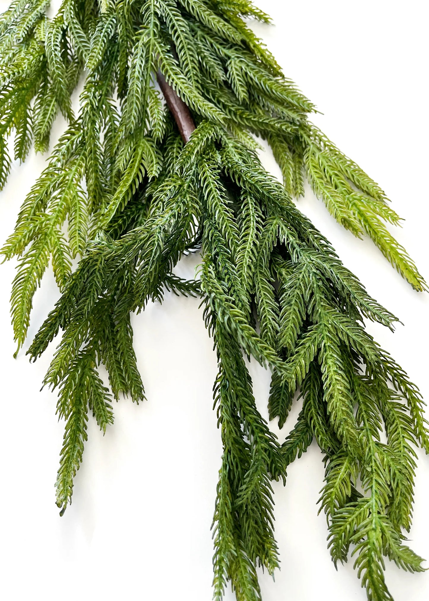 NORFOLK PINE GARLAND