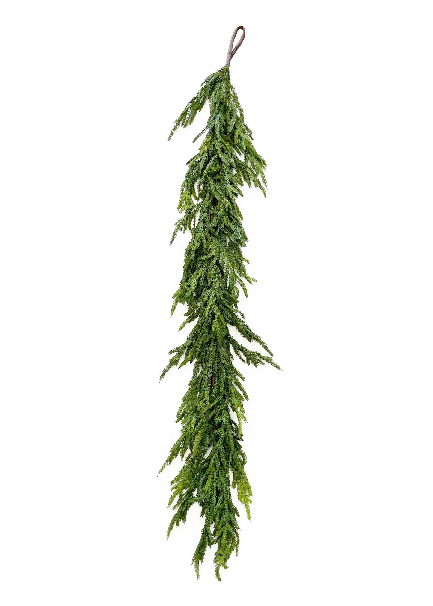 NORFOLK PINE GARLAND