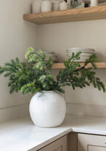 Load image into Gallery viewer, NORWAY SPRUCE BRANCH
