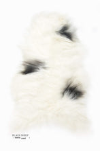 Load image into Gallery viewer, Spotted Icelandic Sheepskin | Minimal
