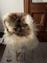 Load image into Gallery viewer, Brown Spotted Icelandic Sheepskin | Random
