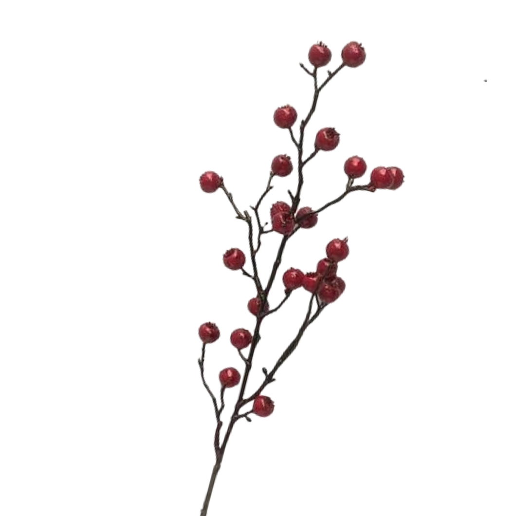 Berry | Stem