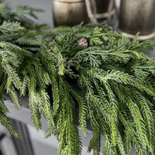 Load image into Gallery viewer, NORFOLK &amp; CYPRESS | 6FT
