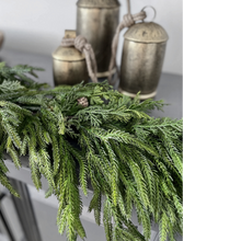 Load image into Gallery viewer, NORFOLK &amp; CYPRESS | 6FT
