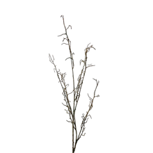 Load image into Gallery viewer, BRANCH | STEM
