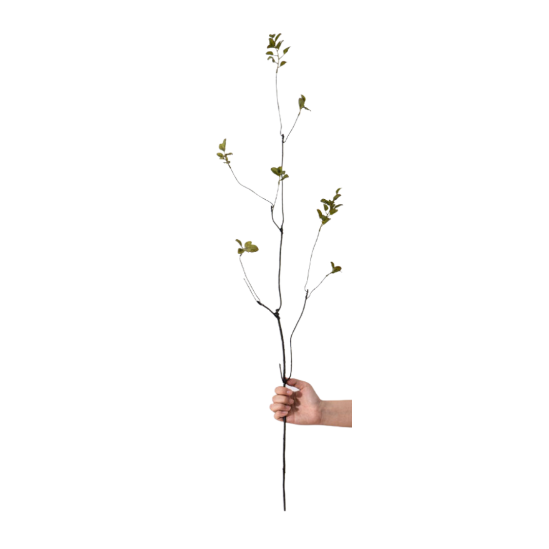 GREEN MINI LEAF | BRANCH