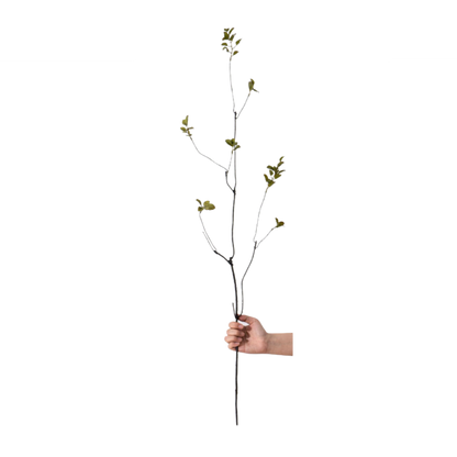 GREEN MINI LEAF | BRANCH