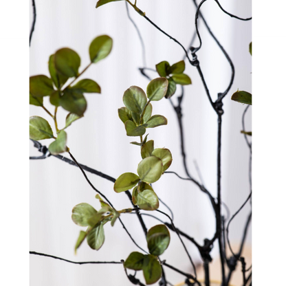 GREEN MINI LEAF | BRANCH