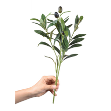 Load image into Gallery viewer, OLIVE LEAF | STEM
