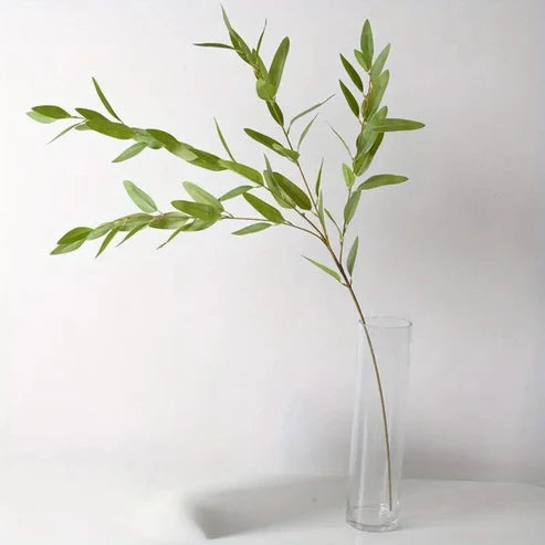 Willow Eucalyptus