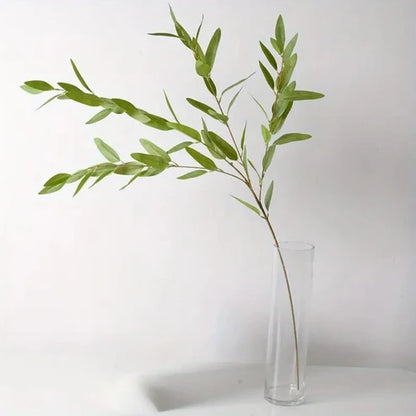Willow Eucalyptus