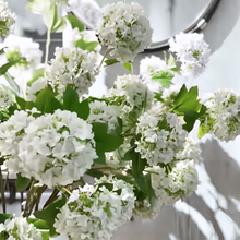 Load image into Gallery viewer, WHITE HYDRANGEA | STEM
