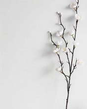 Load image into Gallery viewer, WHITE PLUM BLOSSOM| STEM
