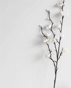 WHITE PLUM BLOSSOM| STEM