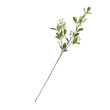 Load image into Gallery viewer, SEEDED | STEM
