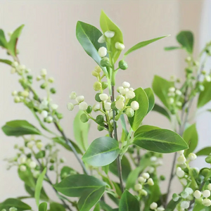 SEEDED | STEM