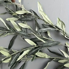 Load image into Gallery viewer, OLIVE | STEM
