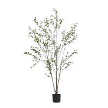 Load image into Gallery viewer, MILAN LEAF | TREE
