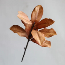 Load image into Gallery viewer, MAGNOLIA | LIGHT BROWN
