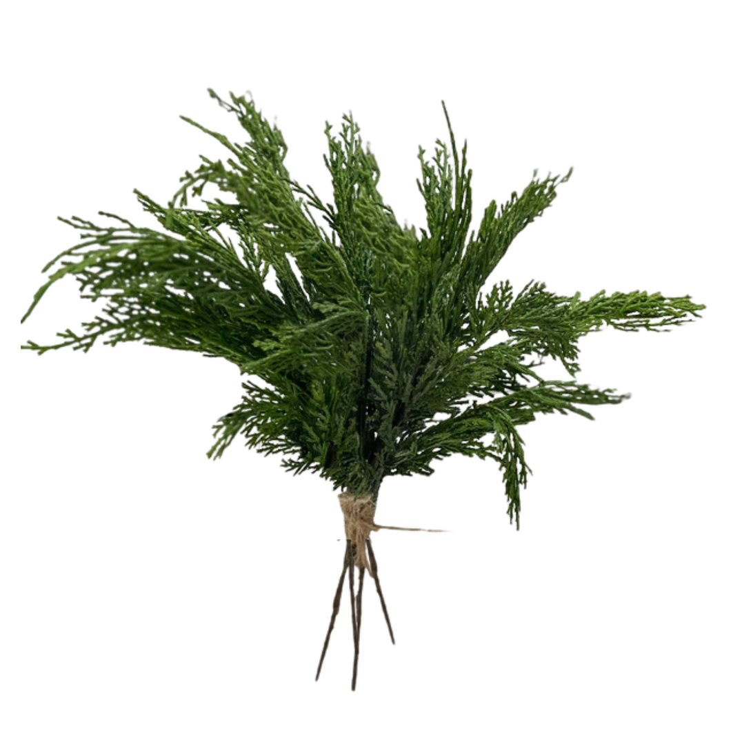 CEDAR WHISP | BUNDLE