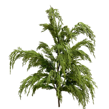 Load image into Gallery viewer, CEDAR WHISP | BUNCH
